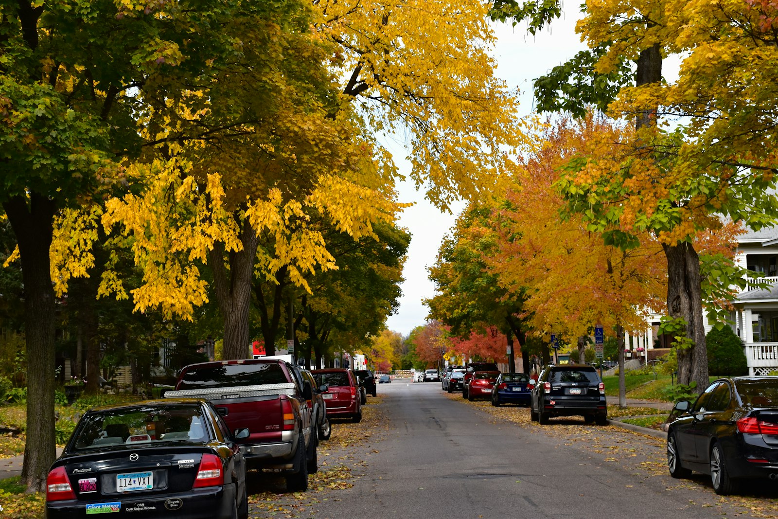 A tree-lined Atlanta neighborhood